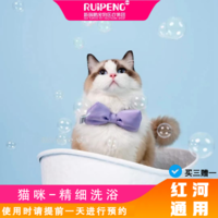 【红河通用】猫咪-精细洗浴3送1 0-2kg短毛